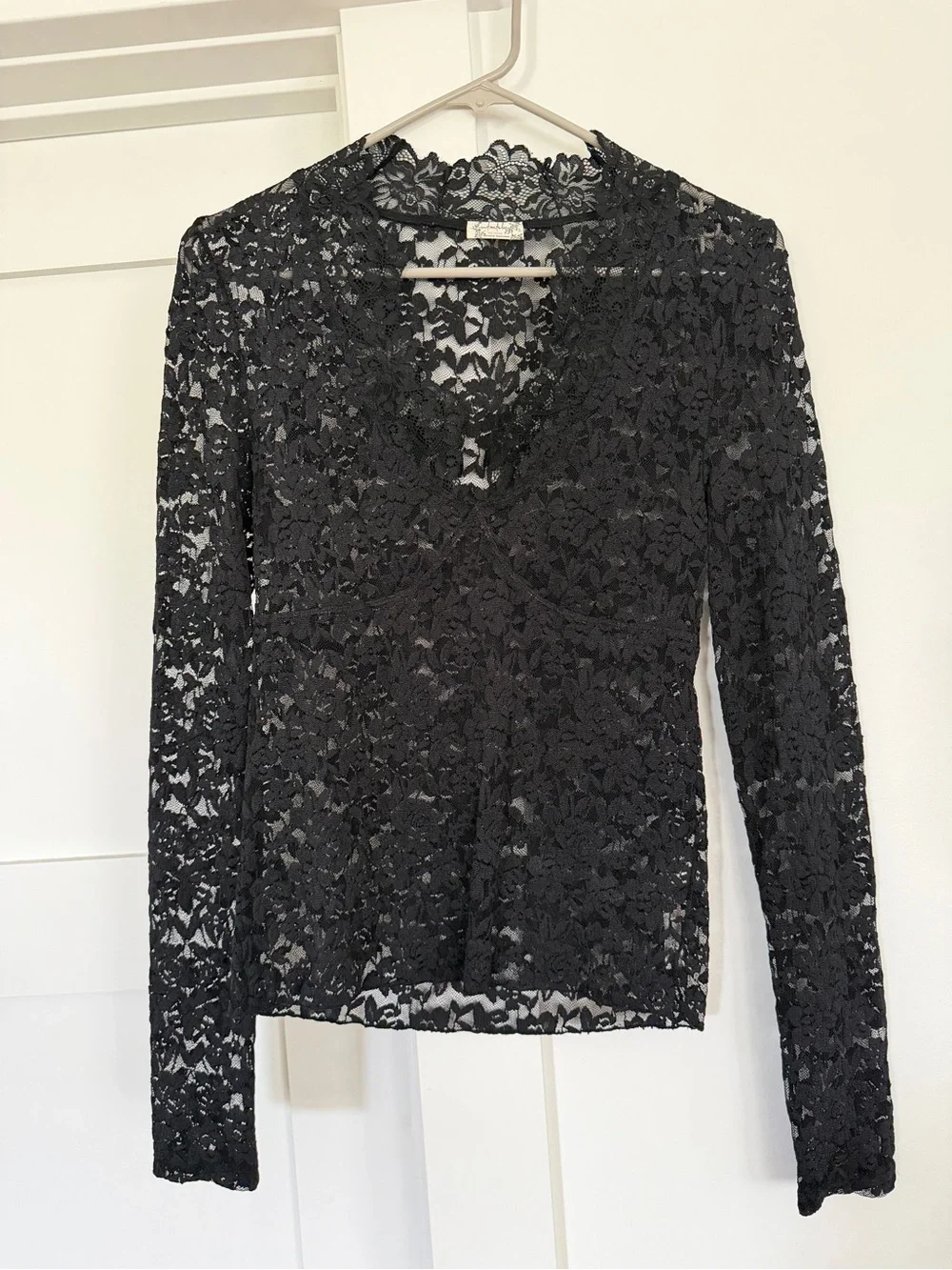 Free People Sheer Black Scalloped Lace V-Neck Top
